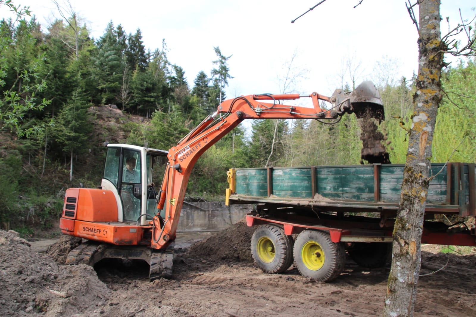 bananenlöffel bagger